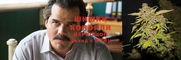 индика Няндома