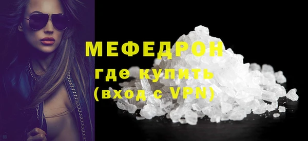 индика Няндома