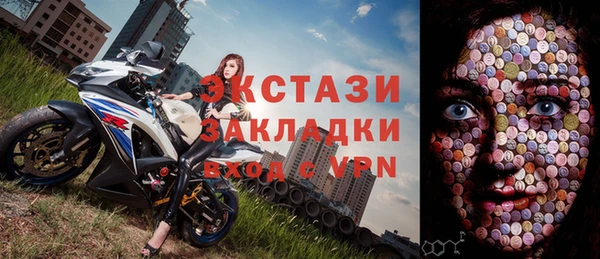 индика Няндома
