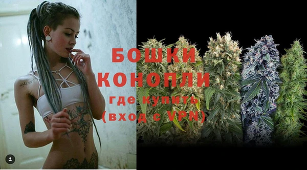 индика Няндома