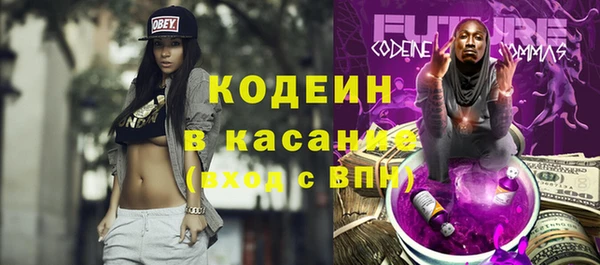 индика Няндома