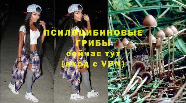 индика Няндома