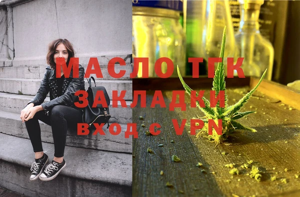 индика Няндома