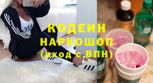 индика Няндома