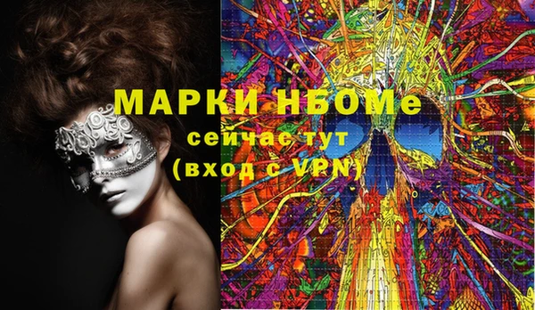 индика Няндома