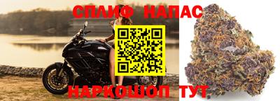 прущая мука Бийск