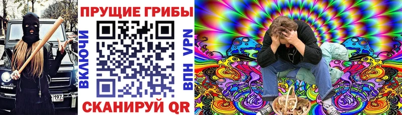 Галлюциногенные грибы Magic Shrooms  Мегион 