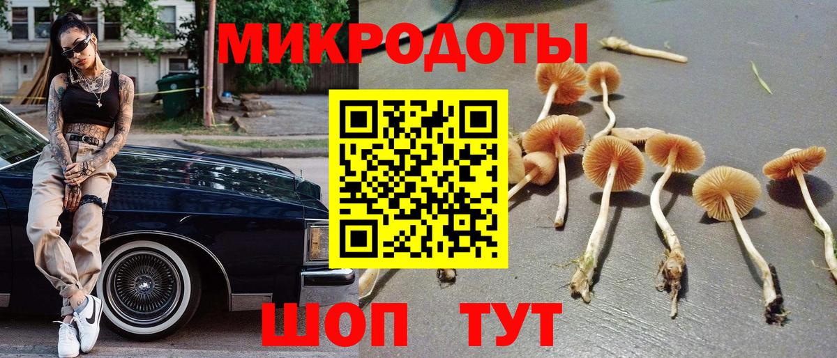 Псилоцибиновые грибы Magic Shrooms Мегион