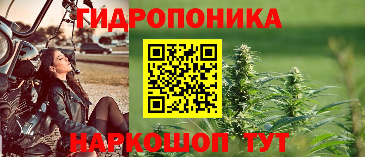 Бошки Шишки THC 21%  Вход с VPN  Каннабис Amnesia  Мегион  Шишки марихуана SATIVA & INDICA  Каннабис семена 